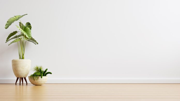 Biljke, kaCarobna-zemlja-kao-najbolja-zemlja-za-vase-cvece-2o i svako živo biće, zahtevaju malo pažnje i odgovarajuću negu za pravilan razvoj, u čemu u najvećoj meri može da doprinese čarobna zemlja kao najbolja zemlja za vaše cveće.