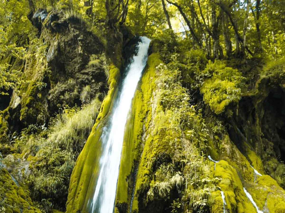 iskustvo-za-pamcenje-rafting-na-tari-2